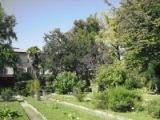 __1_20110209_1400405809_original