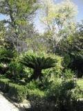 __4_20110209_1235028779_original