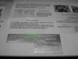 __5_20110209_1483849191_original
